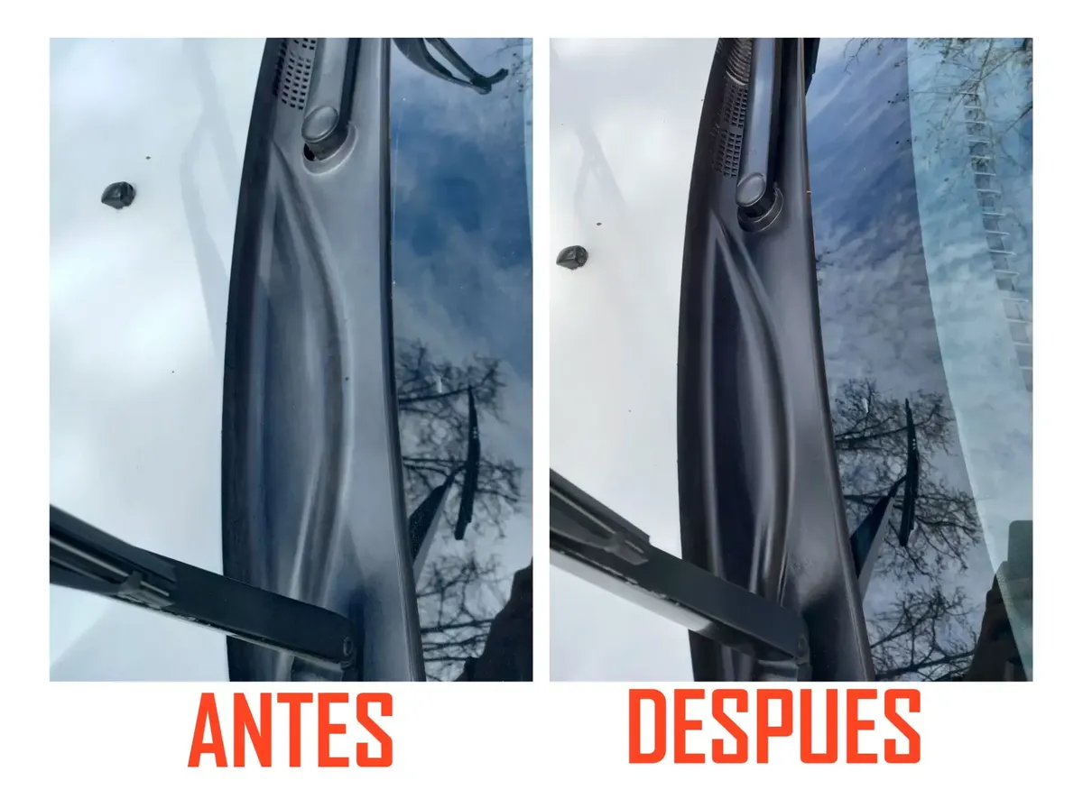 Restaurador De Plasticos Sonax Xtreme 250 Ml